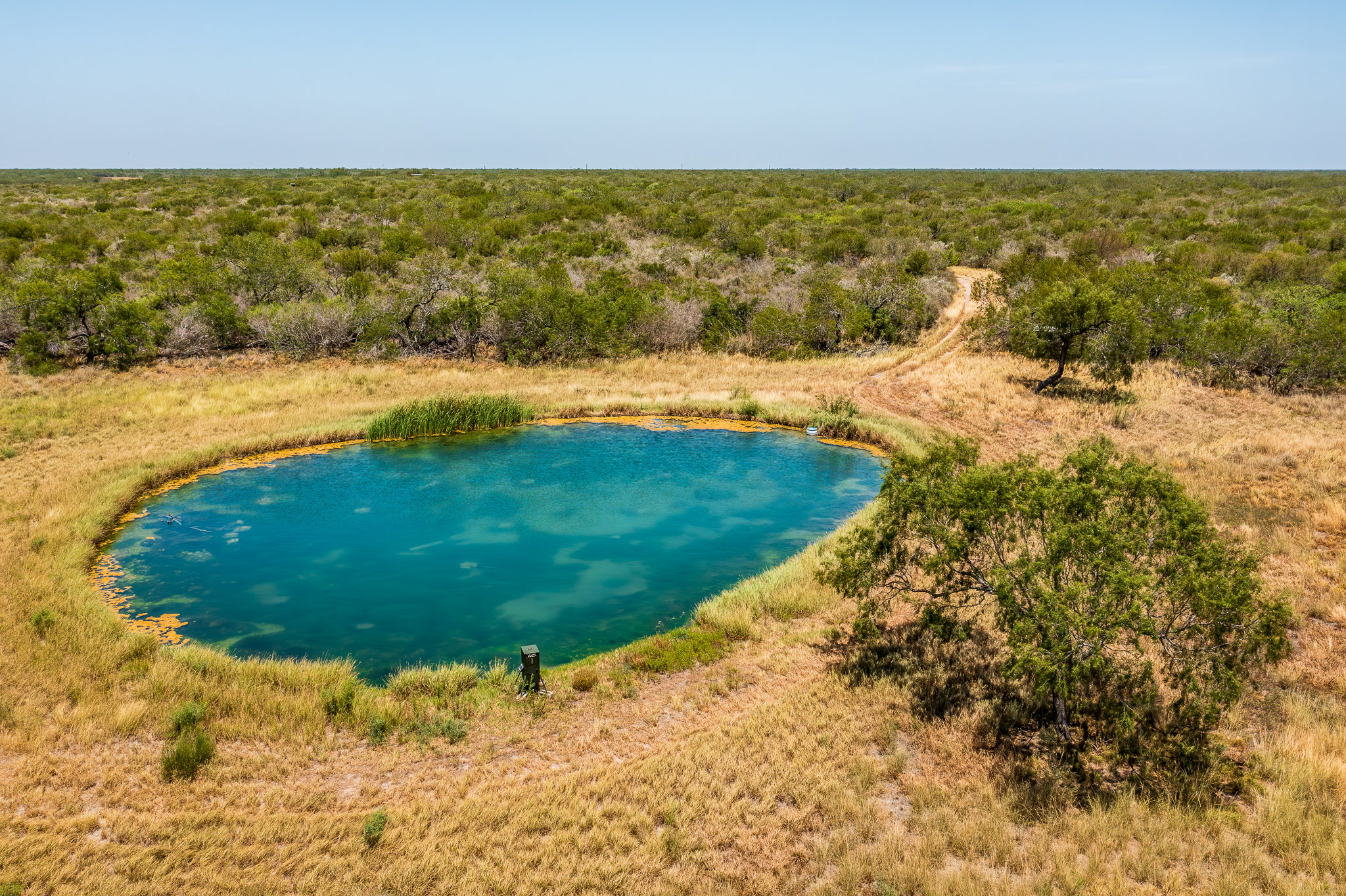 Rancho El Saeno