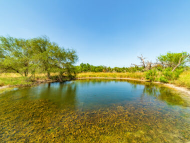 Rancho El Saeno – Foster Farm & Ranch