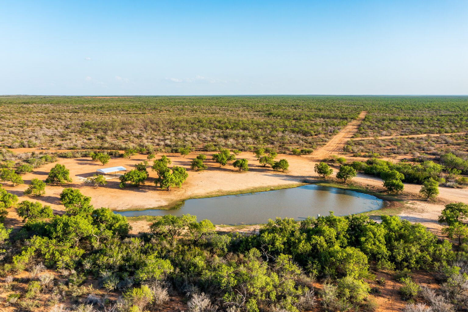 Red Sand Ranch for Sale | 722 Acres, Zavala County TX