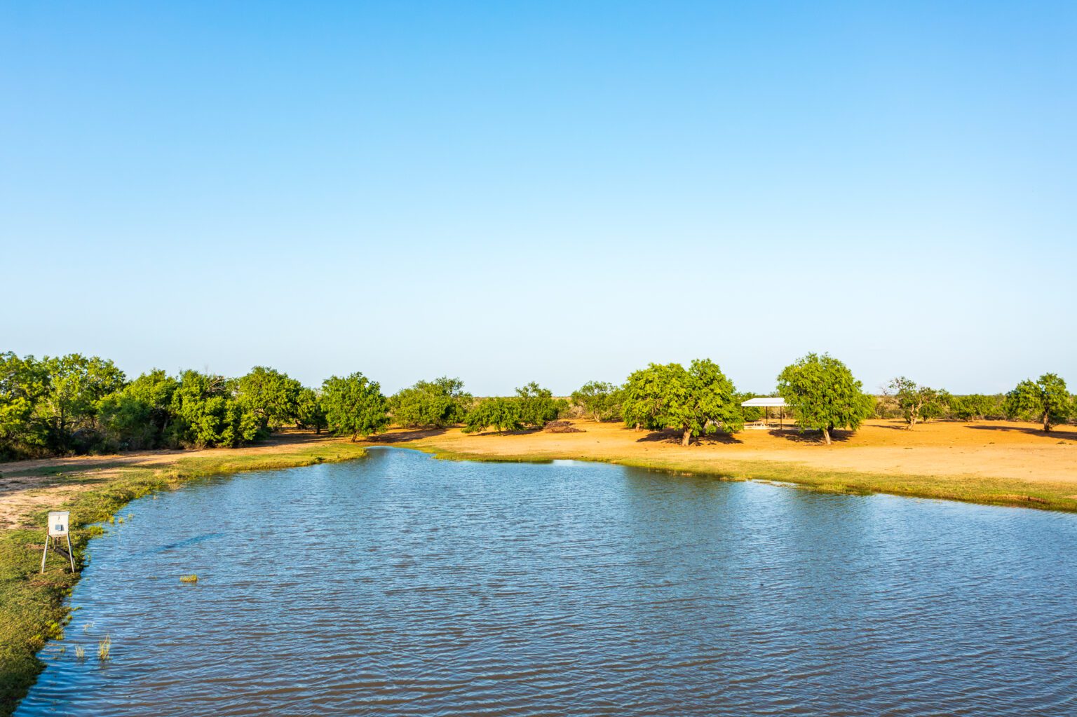 Red Sand Ranch for Sale | 722 Acres, Zavala County TX