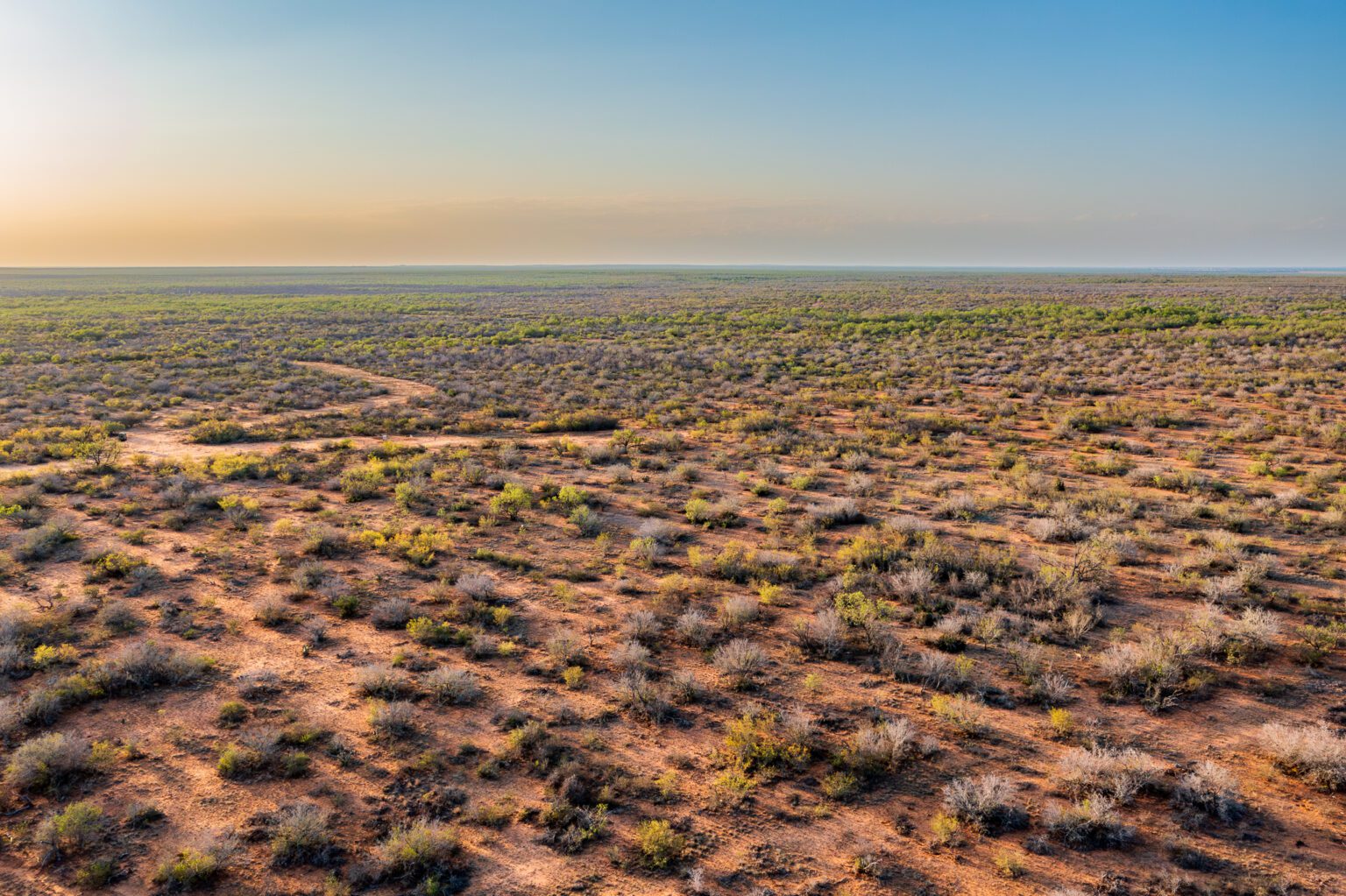 Red Sand Ranch for Sale | 722 Acres, Zavala County TX