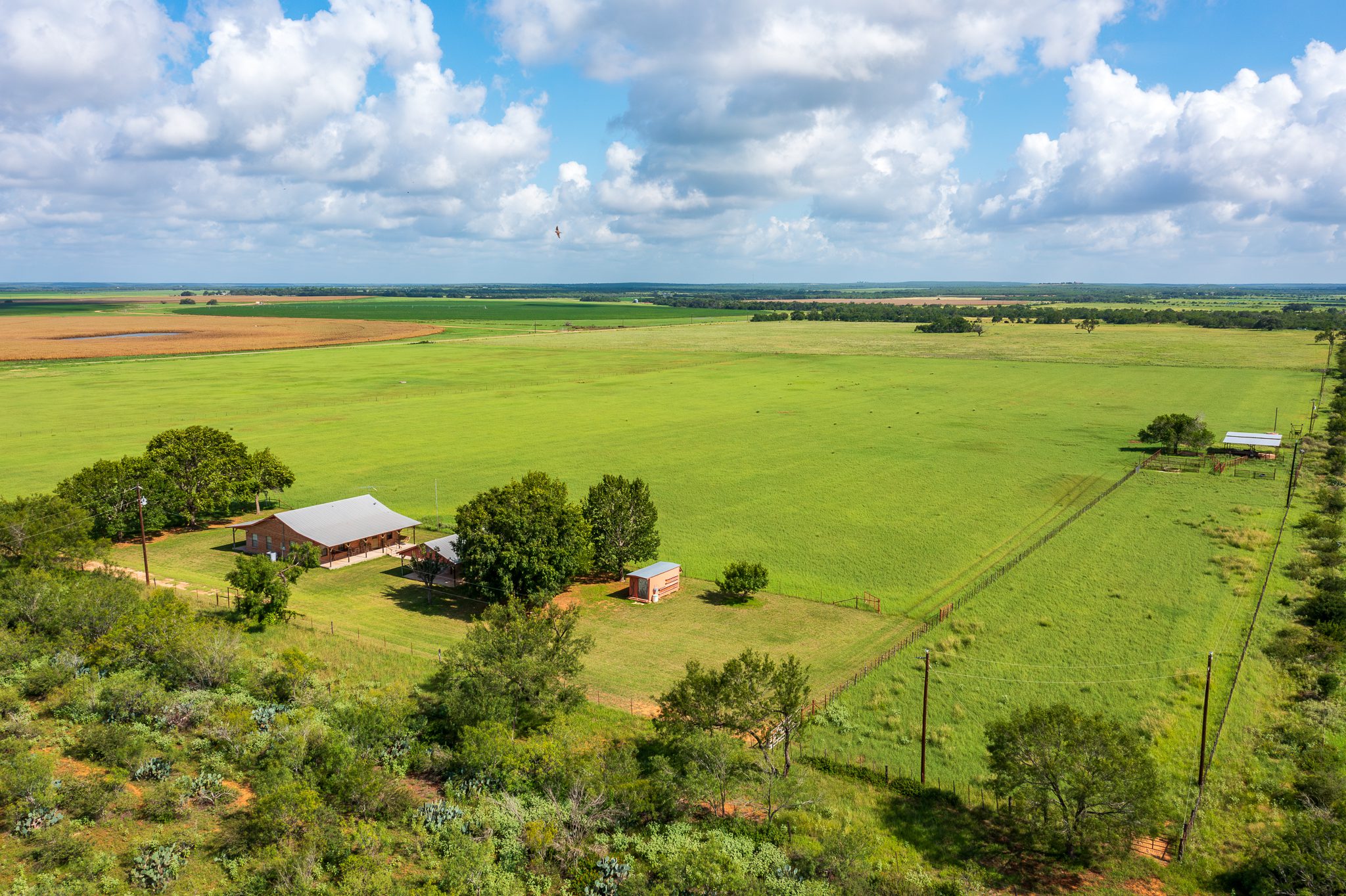 Rosalie Family Ranch
