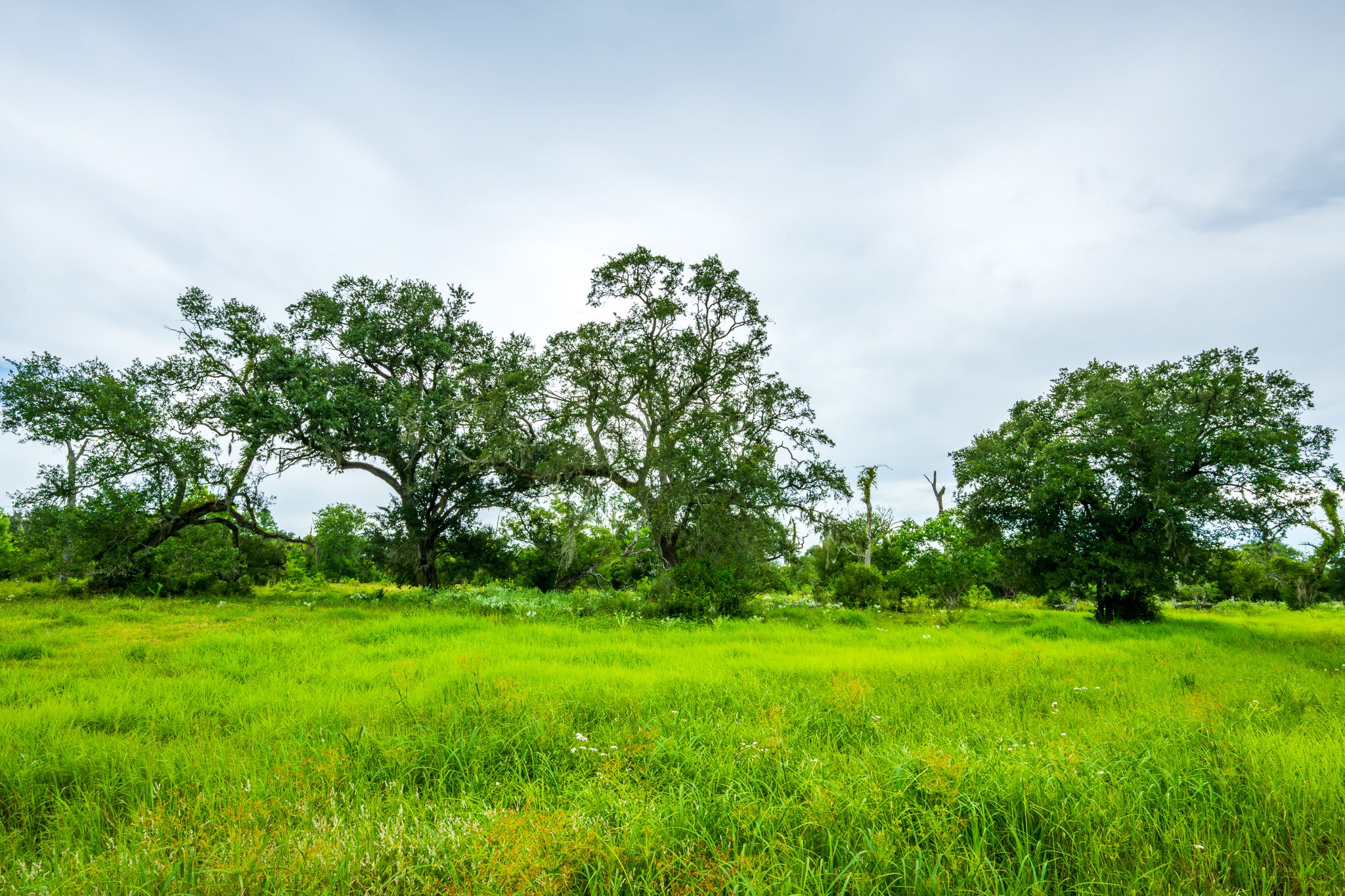 Brazoria County Ranch